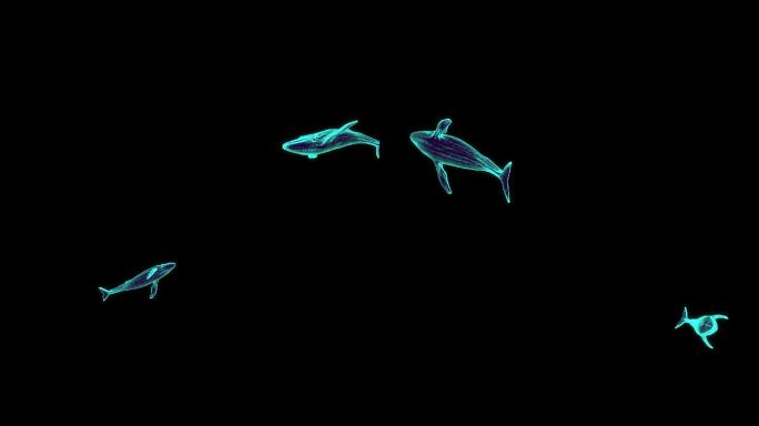 发光鲸鱼3D模型