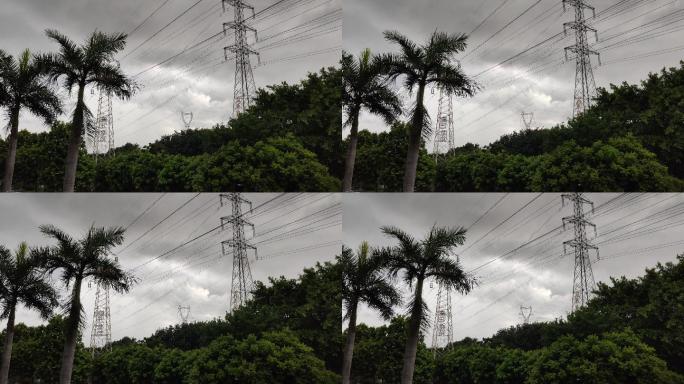 暴雨前天空大风吹动树叶