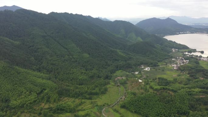 安徽 溪地 宏村 竹坑 黟县 竹海飞机