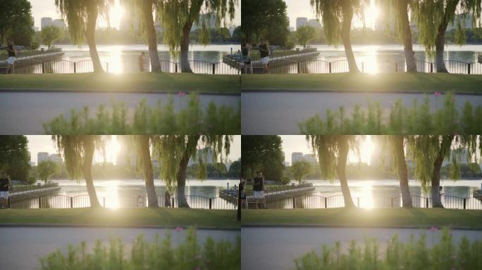 8K实拍夏天逆夕阳树叶唯美空镜头意境
