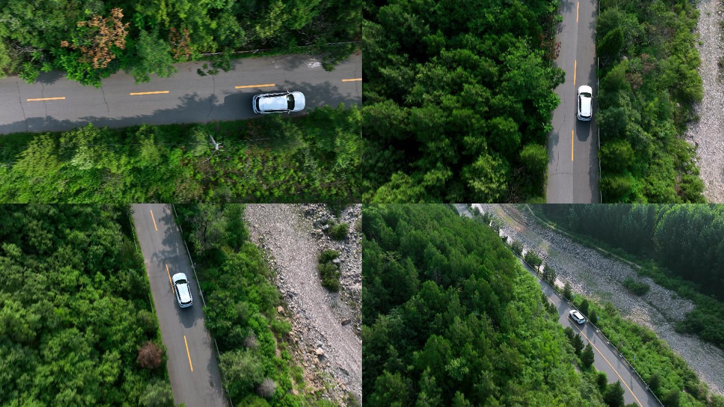 白色新能源 汽车行驶  林荫小道