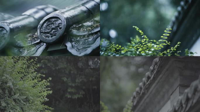 唯美秋雨场景中飘落的雨滴茂盛的植物古建筑