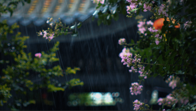 雨季古建筑园林22080801