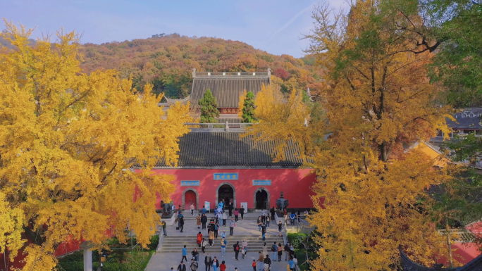 4K大气航拍秋景航拍精剪已调色