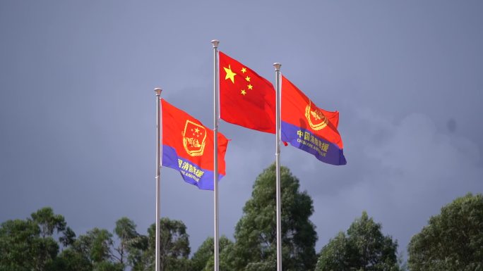 中国消防救援旗升格