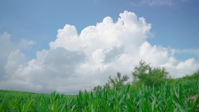 4k蓝天白云大自然美景