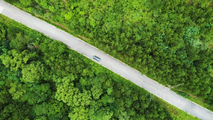 旅行旅拍森林汽车公路