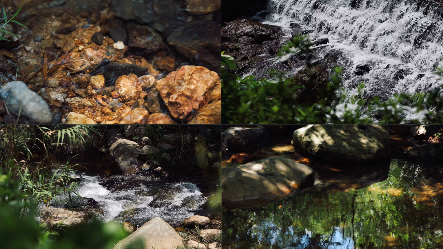 4k 深山林间小溪 溪流 溪水清澈 生态