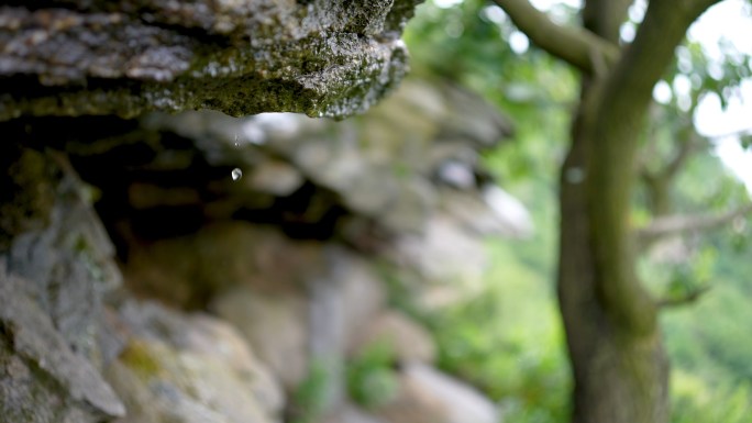 生态 岩石水滴 水滴 天然 矿物质