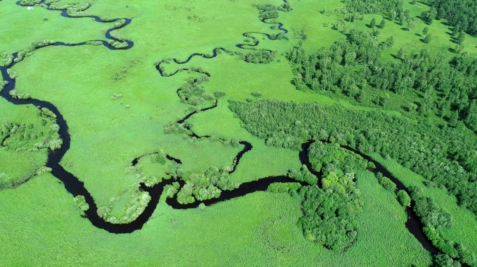 航拍哈乌尔森林湿地河湾