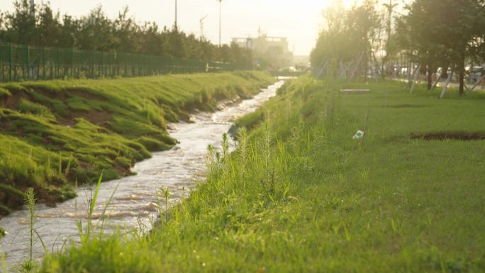 4k逆光路边的河流风景