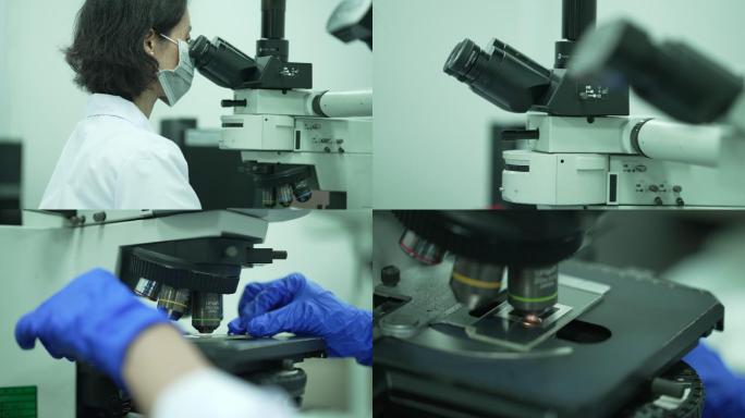 实验室 试验室 显微镜 无菌室 生物实验