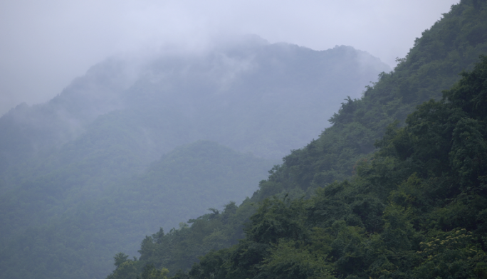 山雾 云雾 山中下雨 雨后空境