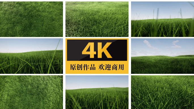 草地草场草原风吹草地