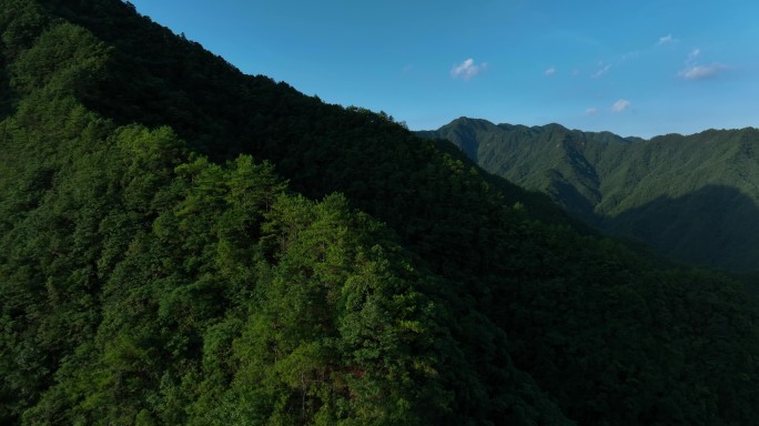 浙江省开化钱江源国家原始森林航拍