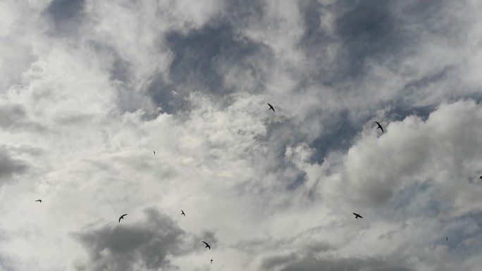燕子低飞、阴云密布