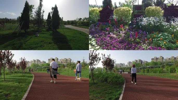 城市绿地 健身锻炼身体早晨竞走跑步晨练