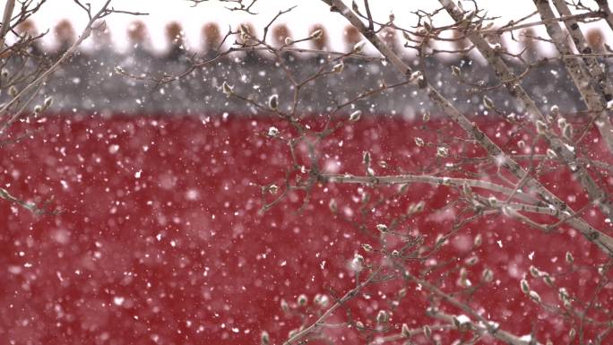 北京故宫红墙雪景