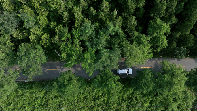 航拍新能源 汽车行驶  林荫小道