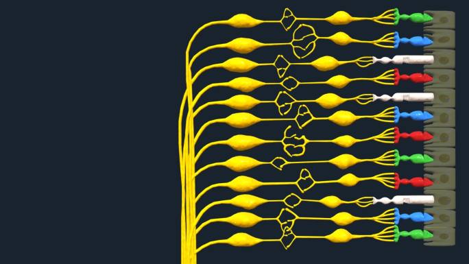 医学色盲黄斑视感神经纤维色觉缺陷三维动画