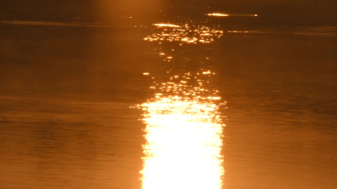 河边日出小草太阳在水中倒影