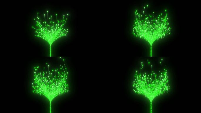 抽象粒子树生长