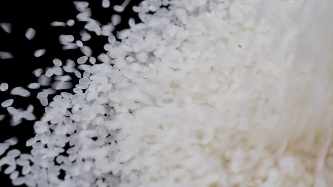 大米 粮食  主食  洒米 宣传片