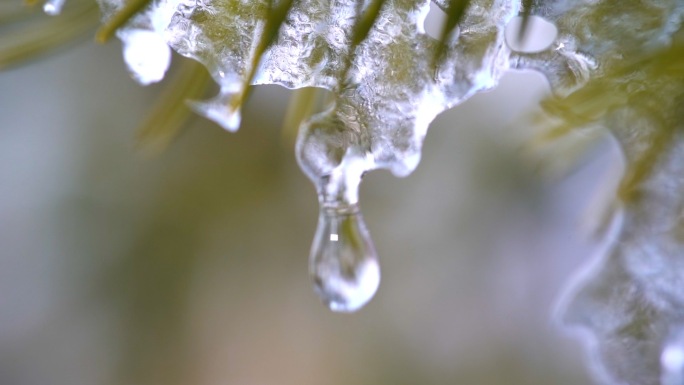 冰滴水升格春天冰雪消融