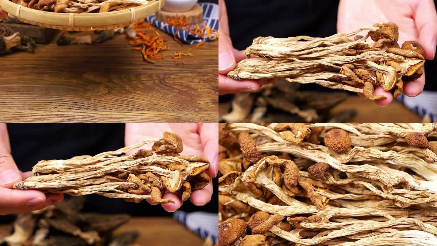干茶树菇 菇类 蘑菇视频
