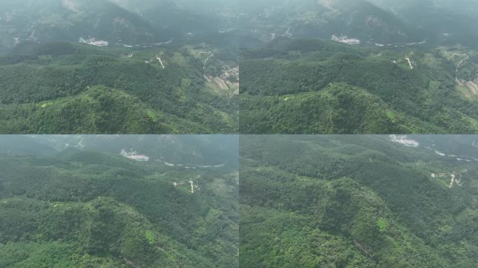 红河谷森林公园宝鸡宣传片素材秦岭生态环境