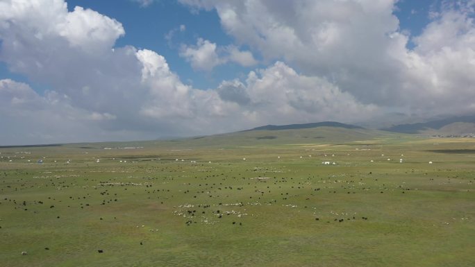 草原山脉、牧民牛羊、蓝天白云