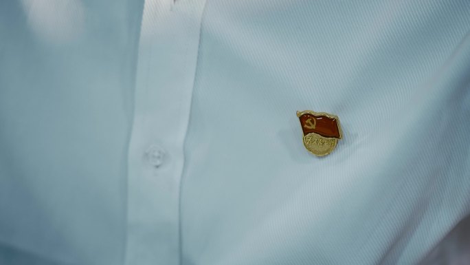 胸前的党徽为人民服务党徽党章