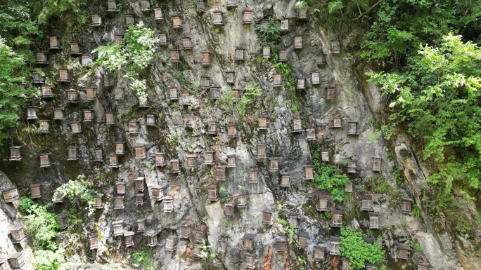 湖北神农架5A景区官门山蜂箱