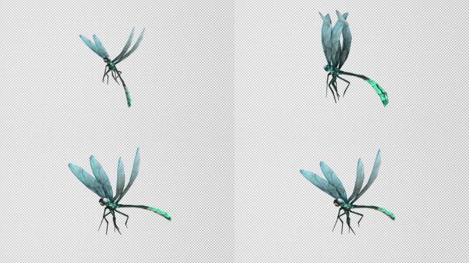 4组蜻蜓飞行动画_带alpha通道