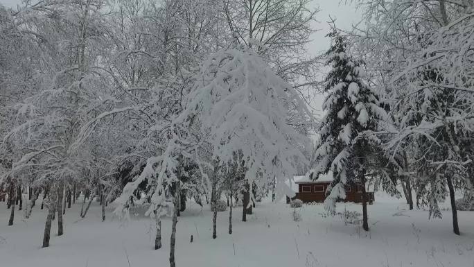 黑水兴安塔河 下雪雪景 手持拍摄