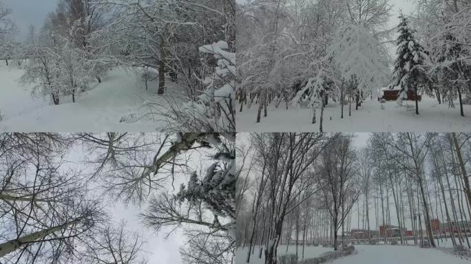 黑水兴安塔河 下雪雪景 手持拍摄