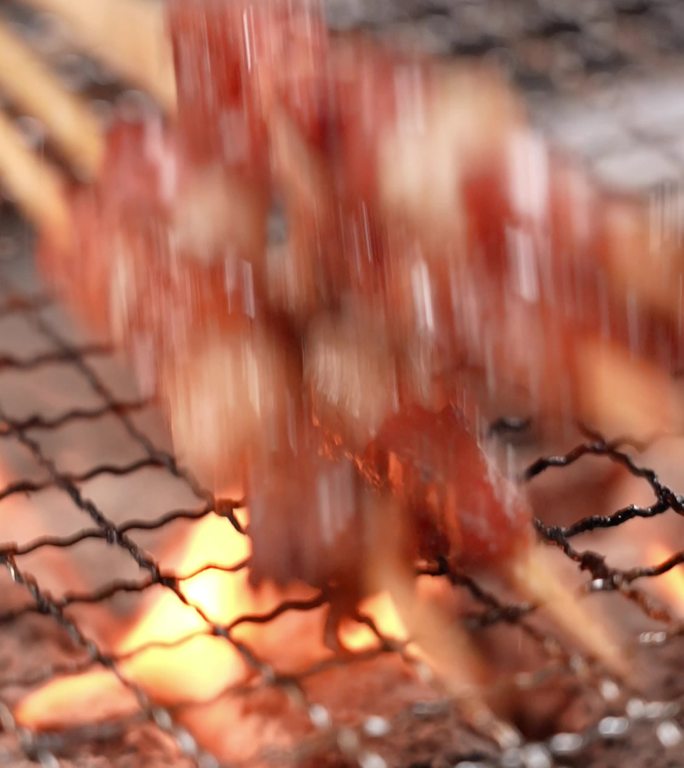 炭火烧烤 烤串 羊肉串