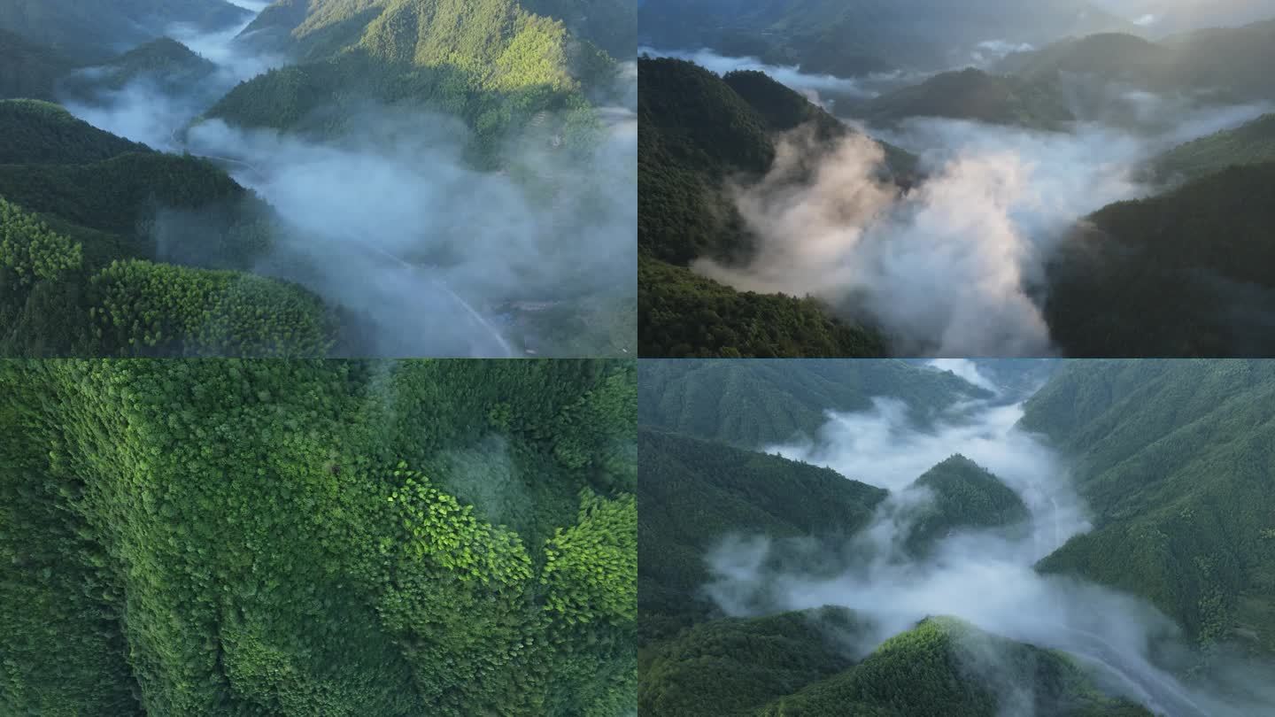 原始森林山间迷雾薄雾