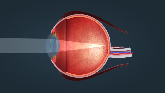 医学眼睛眼球视网膜巩膜成像眼睛色觉缺陷