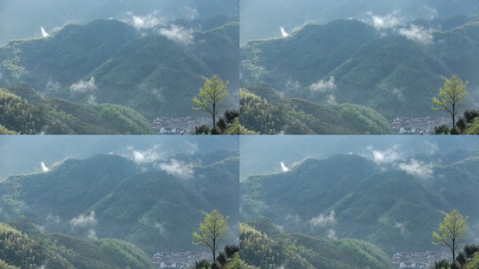 浙江山区春天早晨云雾山村树木农村竹山竹海