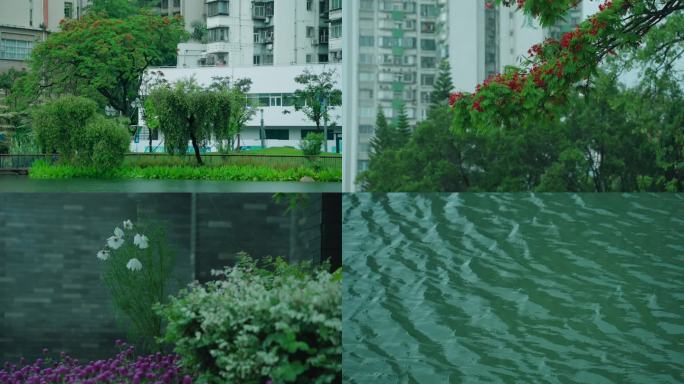 深圳四海公园雨天景色
