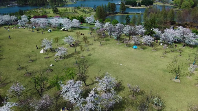 上海辰山植物园