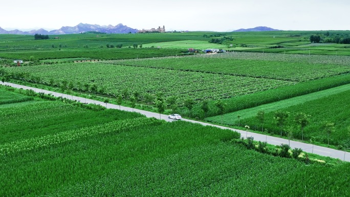 汽车行驶在田野