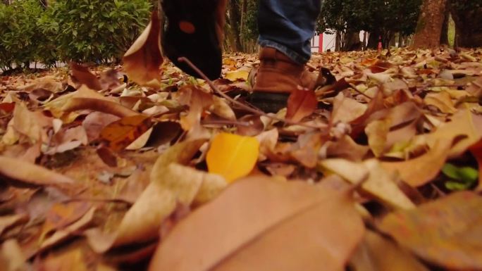 秋天 树林 脚步