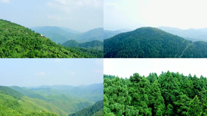 「有版权」天台山华顶国家森林公园合集4K