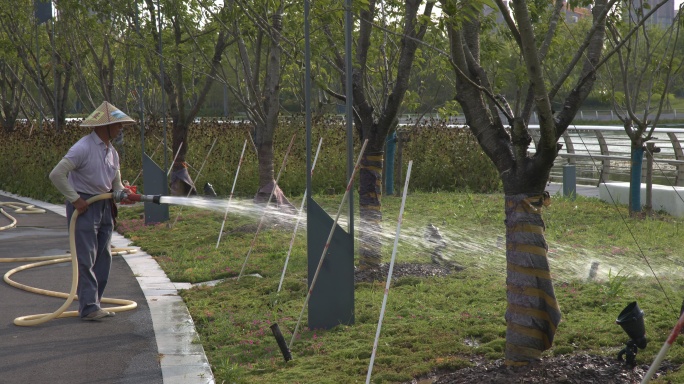 8K实拍公园农民浇水洒水灌溉