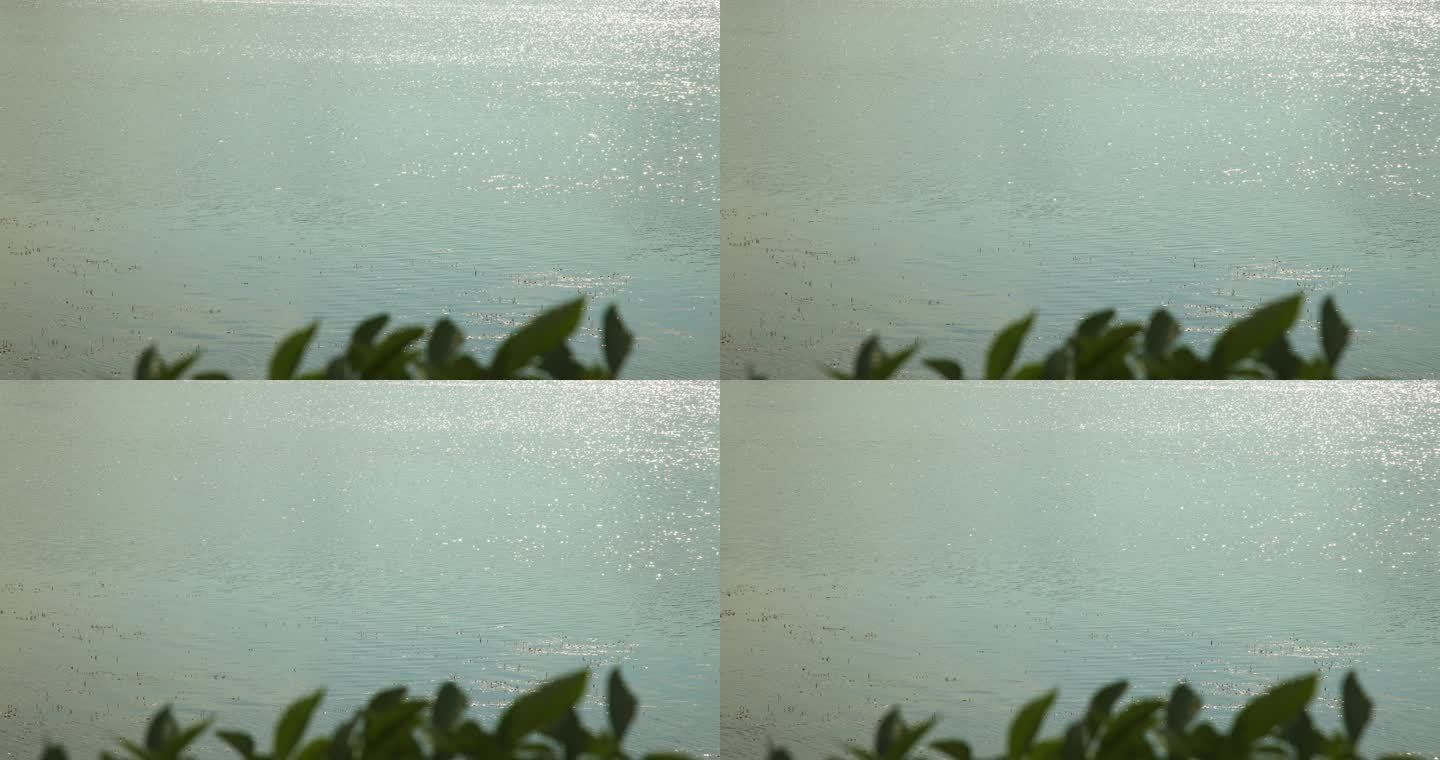 8K实拍唯美水波纹光斑波光粼粼超清晰