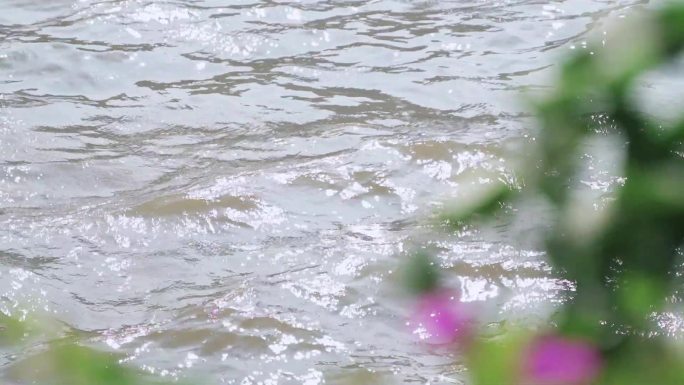 广州珠江 波光粼粼的水面波纹