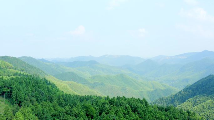 「有版权」航拍天台山华顶国家森林公园4K