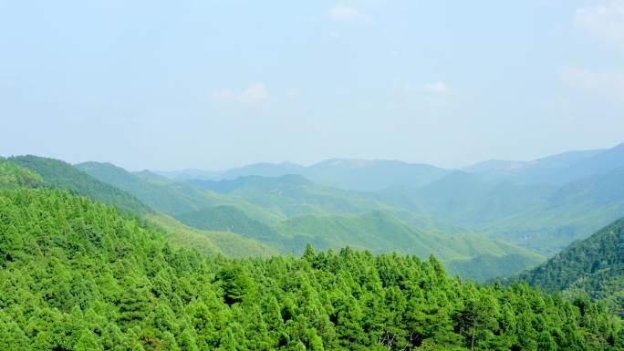 「有版权」航拍天台山华顶国家森林公园4K